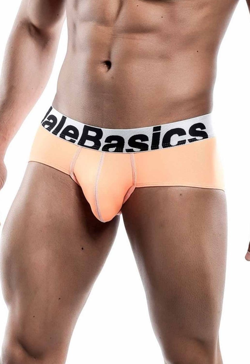Malebasics Men's Sports Performance Hip Brief | MEN Brief | Malebasics | OUTFAIR | OUTFAIR