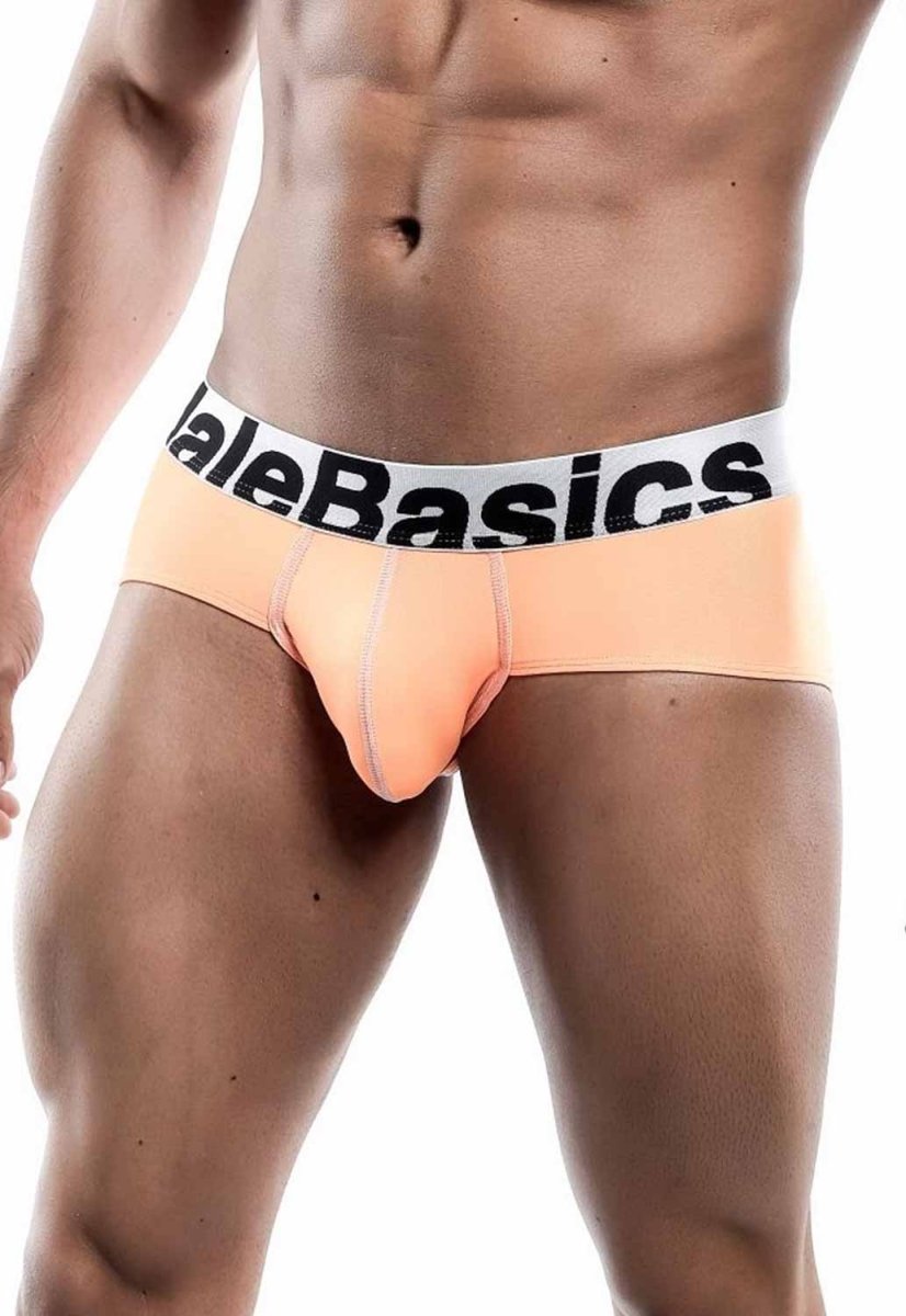 Malebasics Men's Sports Performance Hip Brief | MEN Brief | Malebasics | OUTFAIR | OUTFAIR
