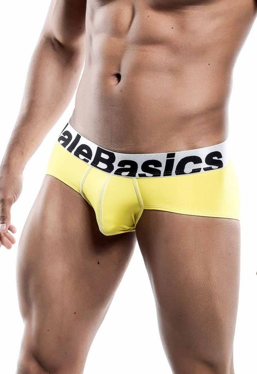 Malebasics Men's Sports Performance Hip Brief | MEN Brief | Malebasics | OUTFAIR | OUTFAIR