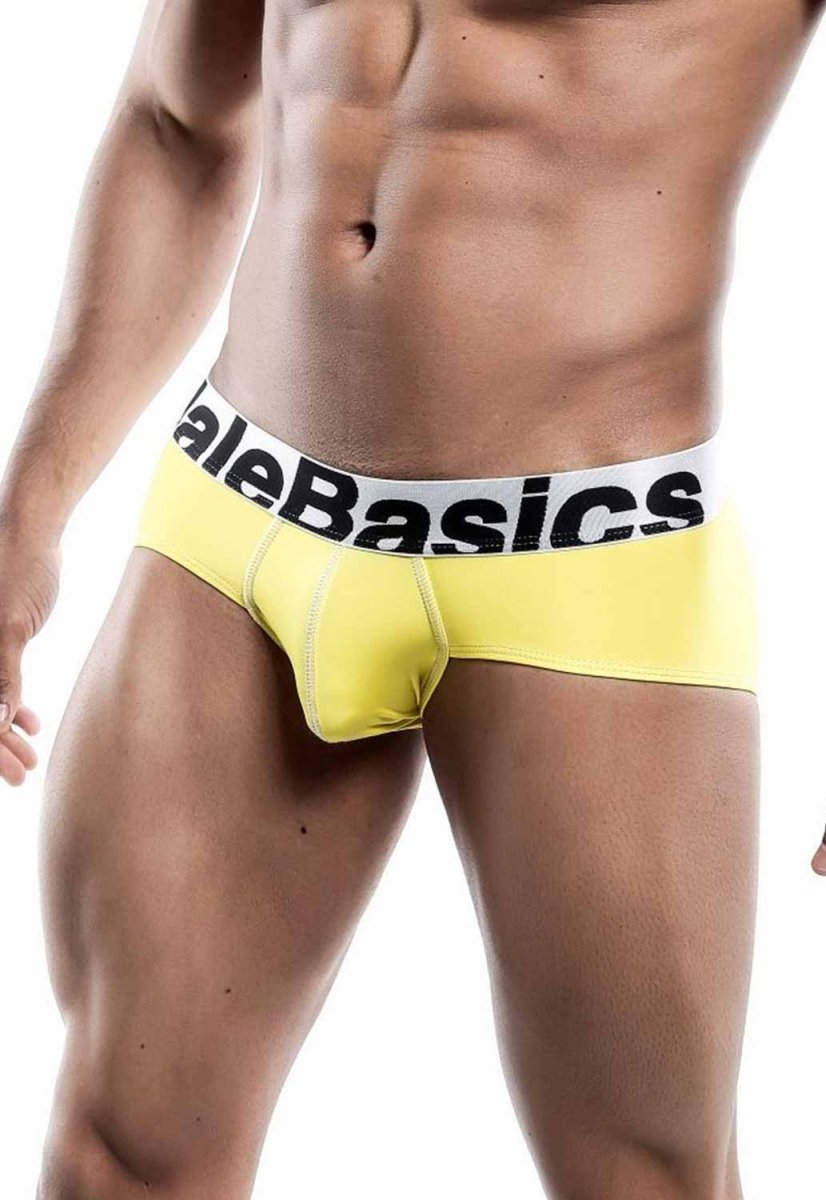 Malebasics Men's Sports Performance Hip Brief | MEN Brief | Malebasics | OUTFAIR | OUTFAIR