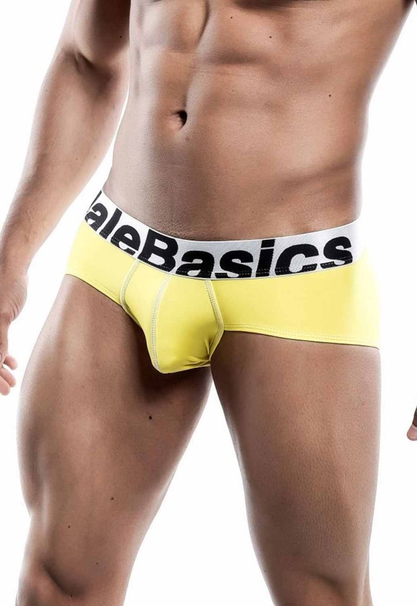 Malebasics Men's Sports Performance Hip Brief | MEN Brief | Malebasics | OUTFAIR | OUTFAIR