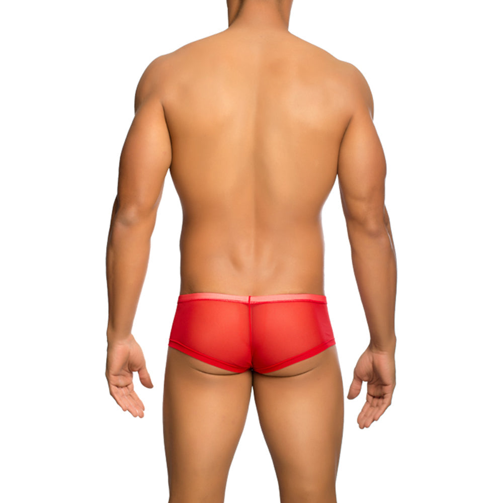 MOB Men's Sexy Sheer Hip Brief