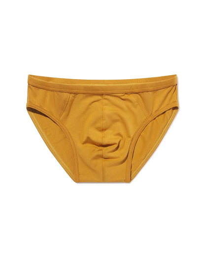 Brief