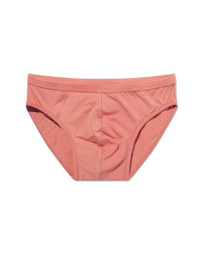 Brief