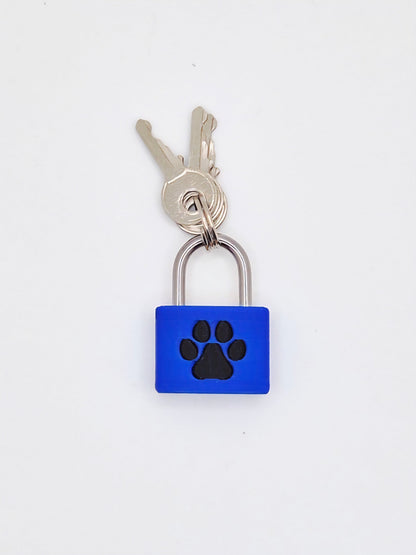 Small Padlock & Cover – Custom Kink Collar Lock, Keyed Alike Options, Glow & Pride Styles