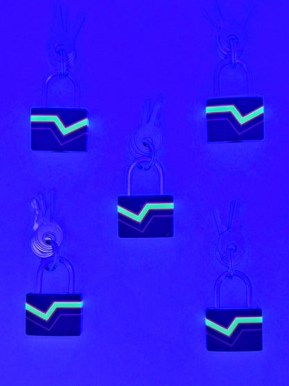 Small Padlock & Cover – Custom Kink Collar Lock, Keyed Alike Options, Glow & Pride Styles