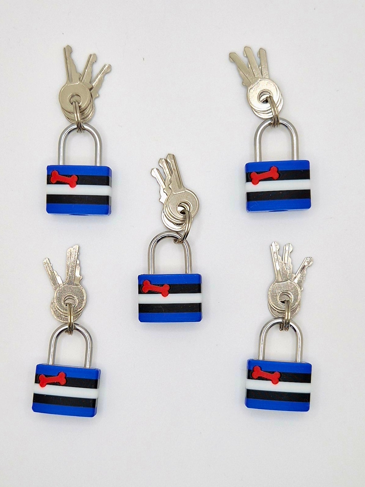 Small Padlock & Cover – Custom Kink Collar Lock, Keyed Alike Options, Glow & Pride Styles
