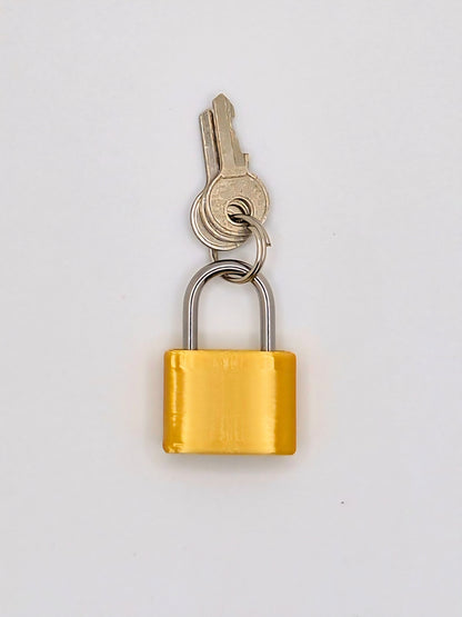 Small Padlock & Cover – Custom Kink Collar Lock, Keyed Alike Options, Glow & Pride Styles