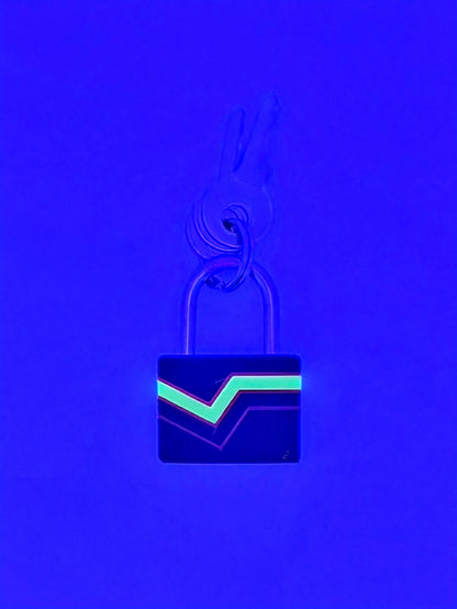 Small Padlock & Cover – Custom Kink Collar Lock, Keyed Alike Options, Glow & Pride Styles