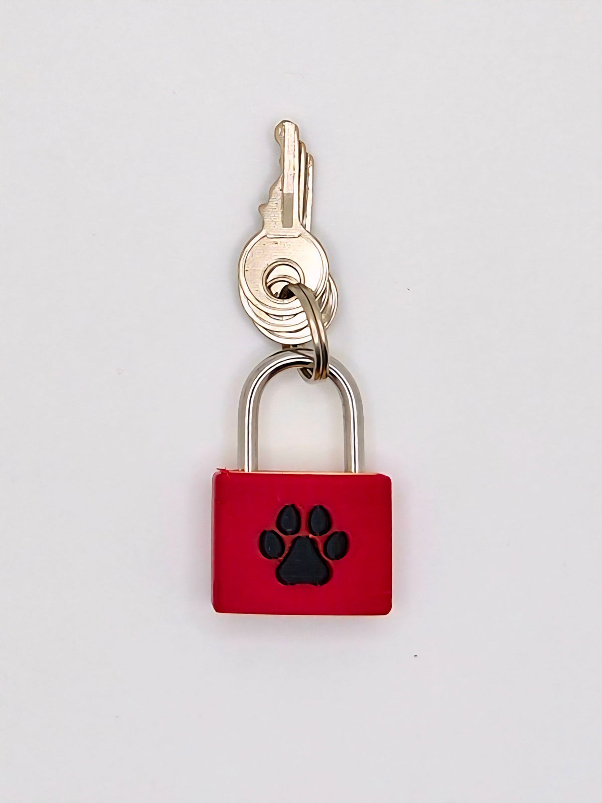 Small Padlock & Cover – Custom Kink Collar Lock, Keyed Alike Options, Glow & Pride Styles