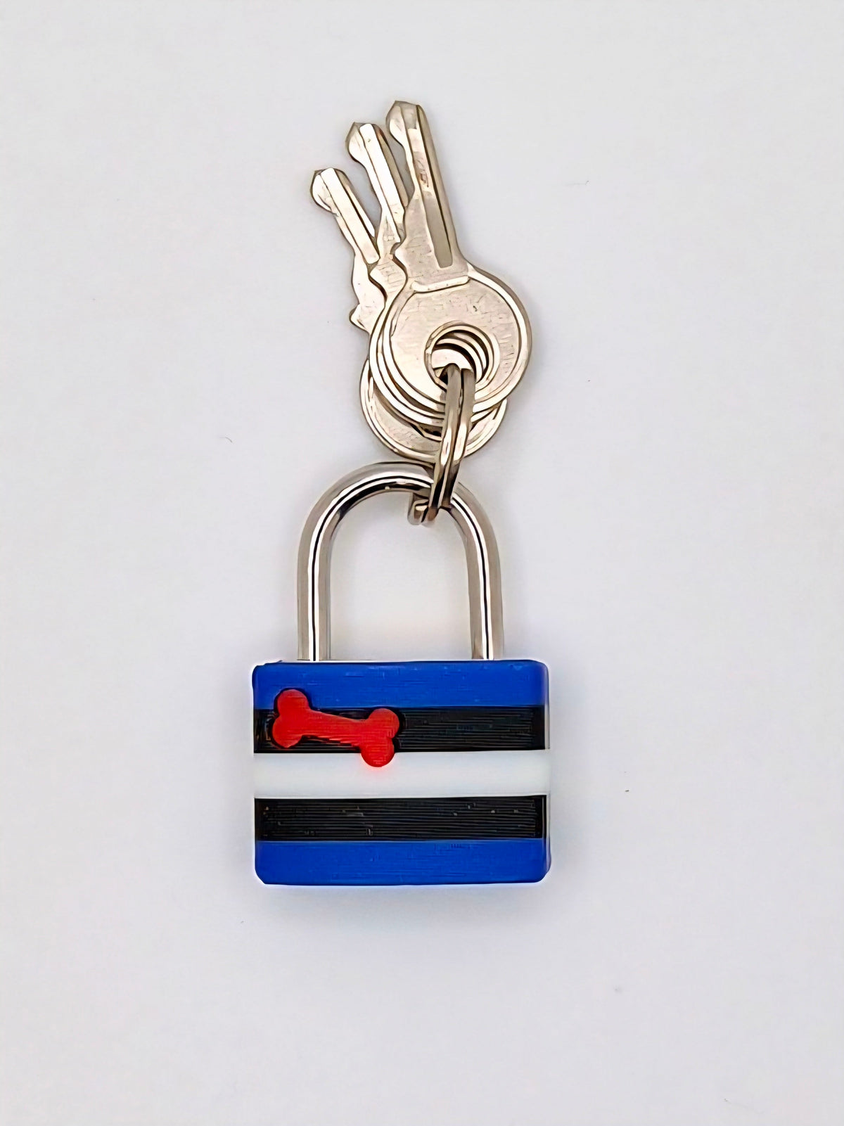 Small Padlock & Cover – Custom Kink Collar Lock, Keyed Alike Options, Glow & Pride Styles