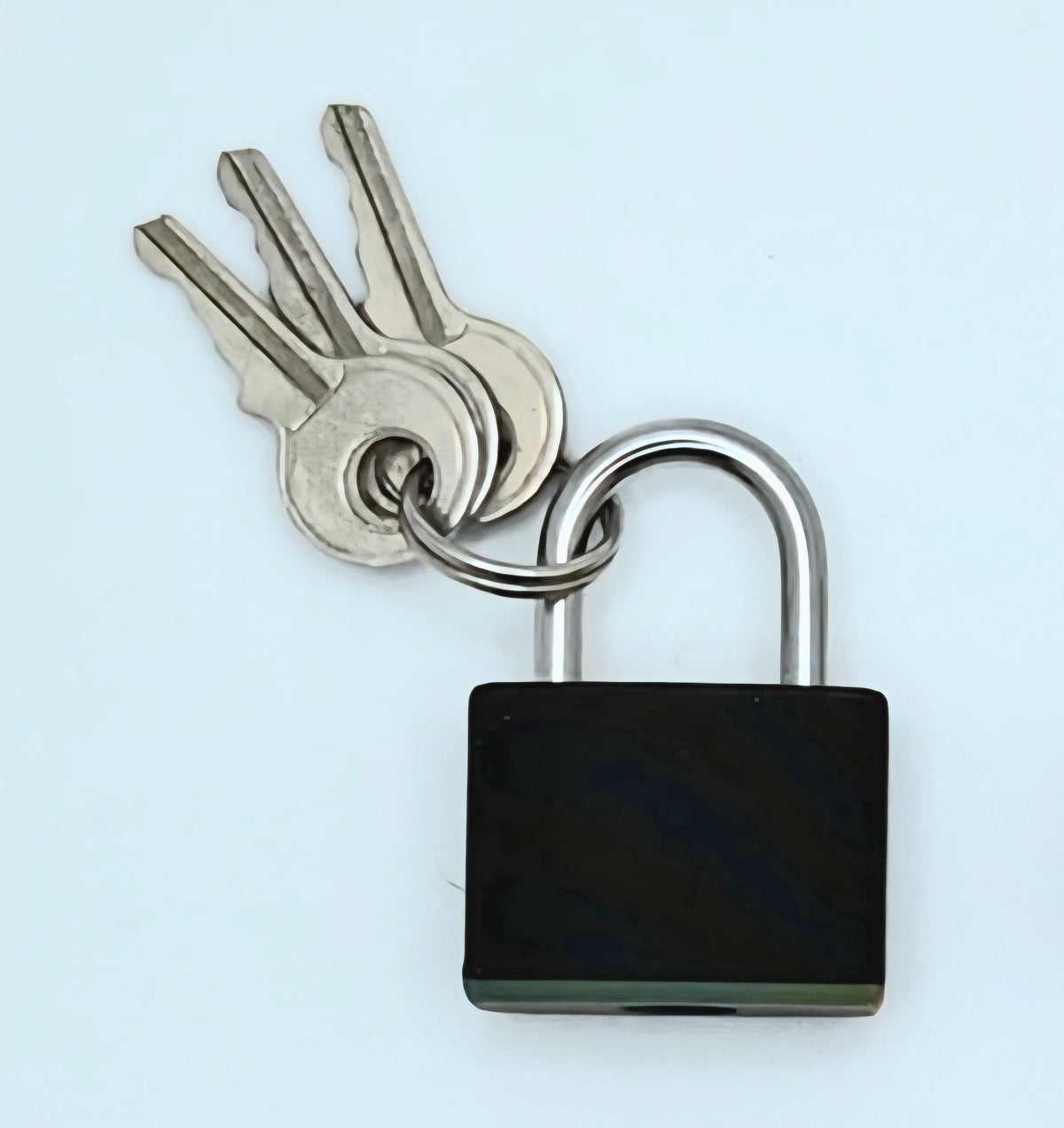 Small Padlock & Cover – Custom Kink Collar Lock, Keyed Alike Options, Glow & Pride Styles