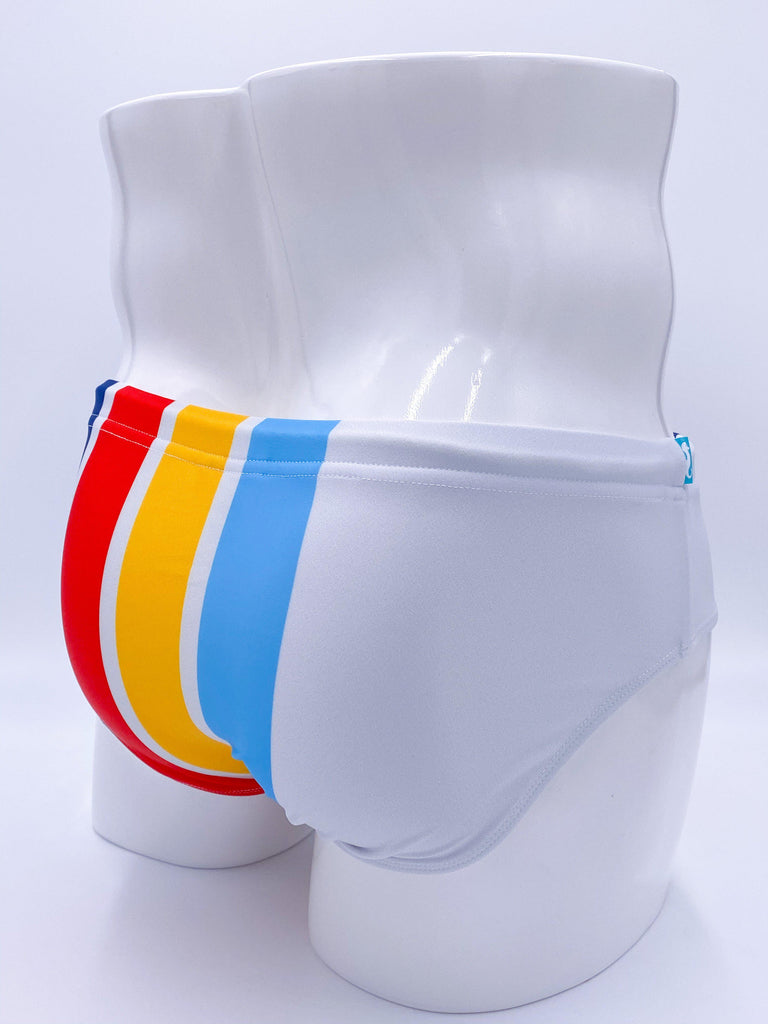 The Colony Swimsuit Briefs