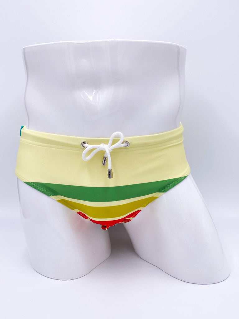 The Carlyle Swimsuit Brief