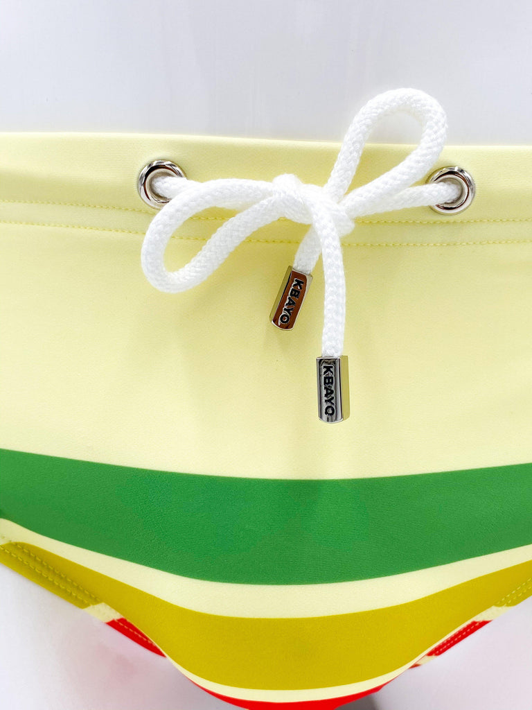 The Carlyle Swimsuit Brief