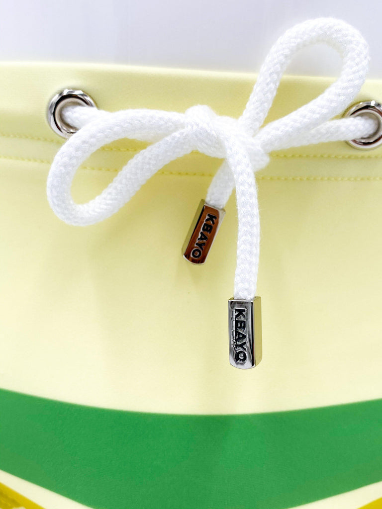 The Carlyle Swimsuit Brief