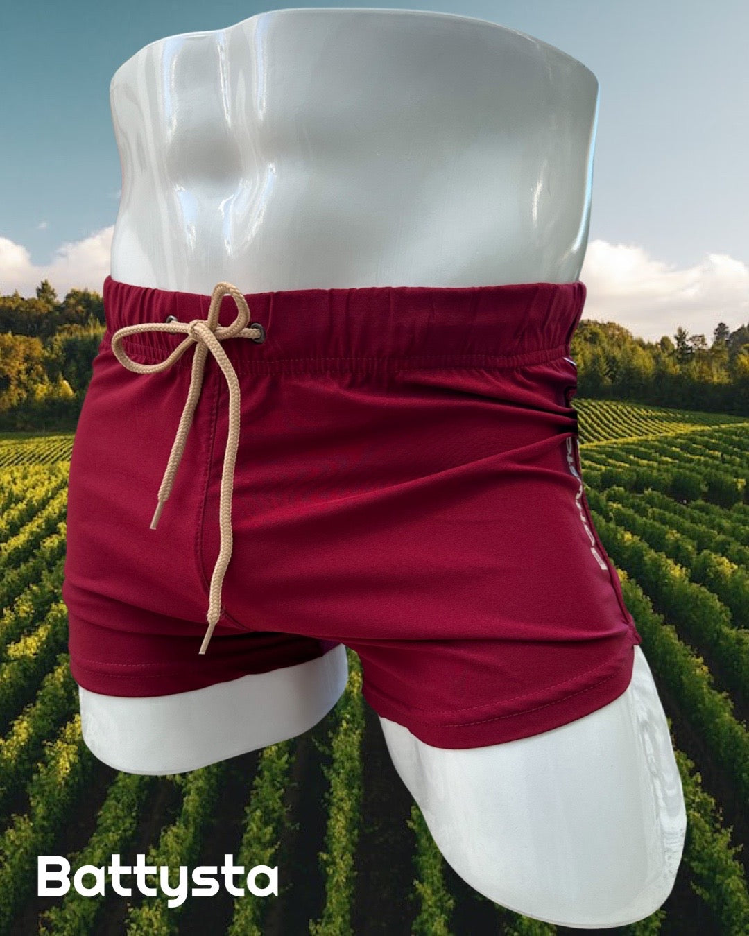 Malbec pool shorts | MEN SHORTS | BATTYSTA | OUTFAIR | OUTFAIR