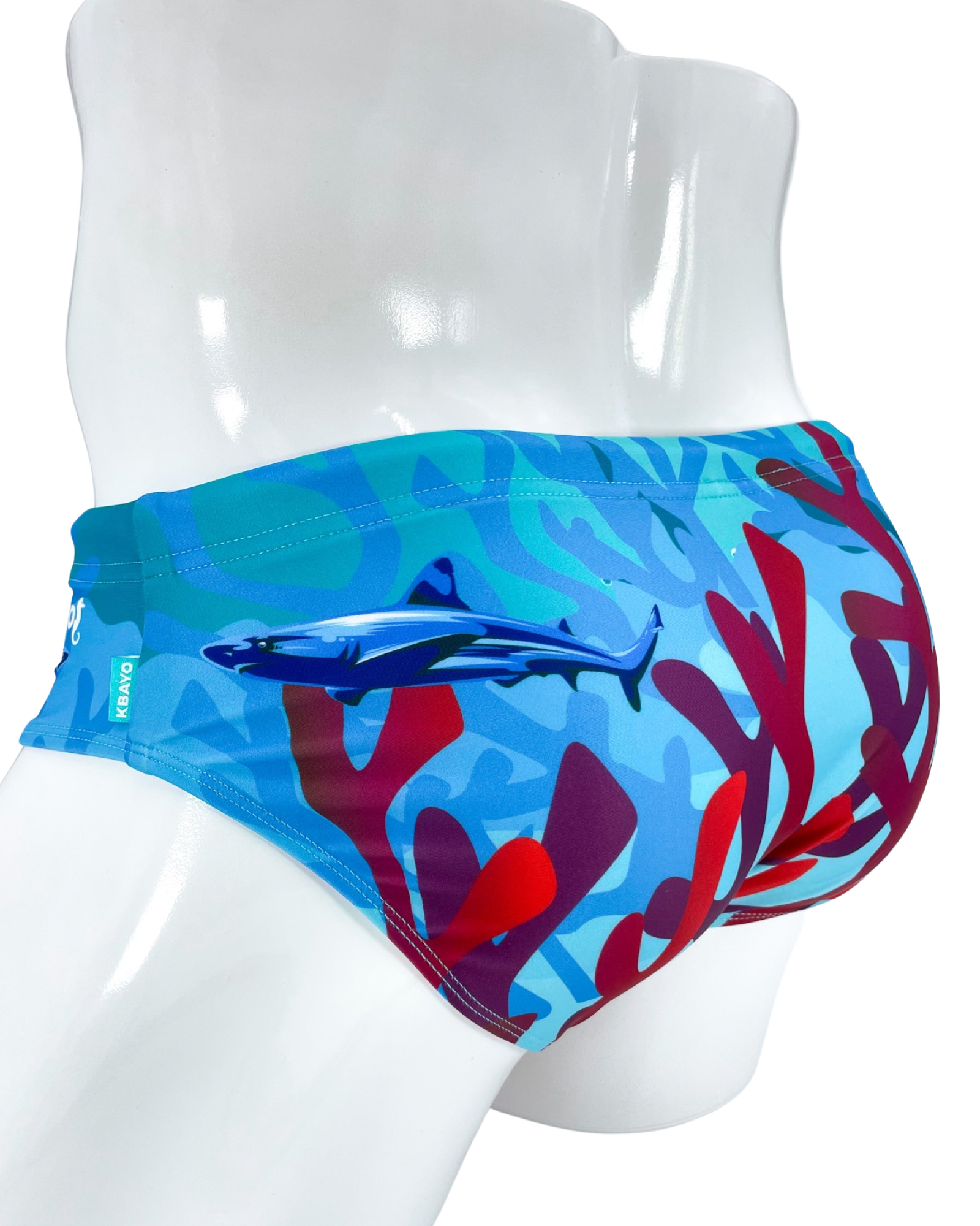 The King Briefs | MEN SWIMWEAR | KBAYO | OUTFAIR | OUTFAIR