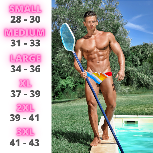 The Colony Swimsuit Briefs